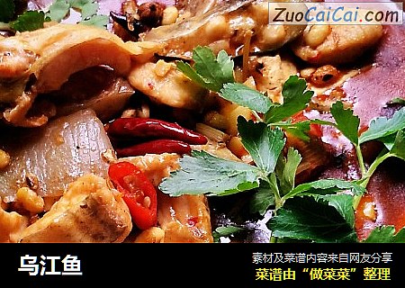 乌江鱼