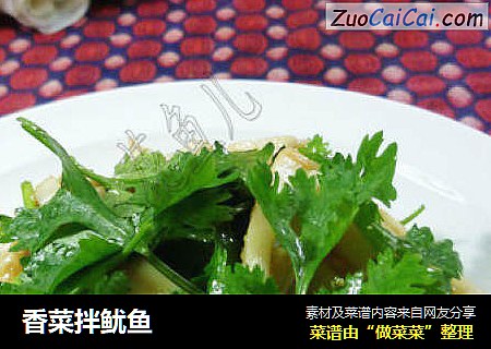 香菜拌鱿鱼
