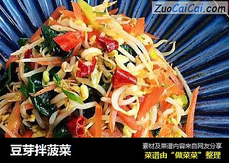 豆芽拌菠菜
