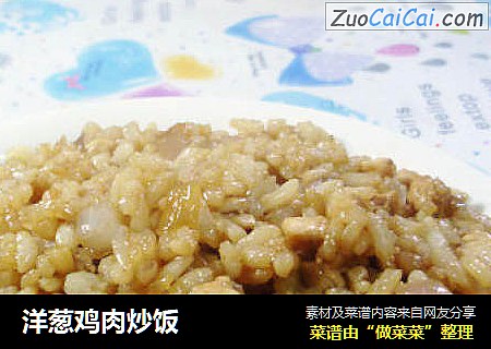洋葱鸡肉炒饭