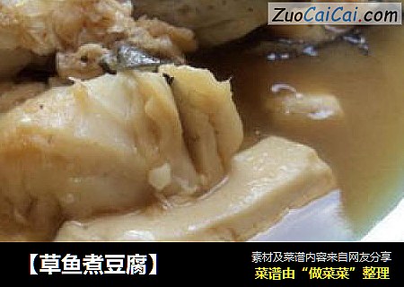 【草鱼煮豆腐】
