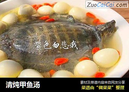 清炖甲鱼汤