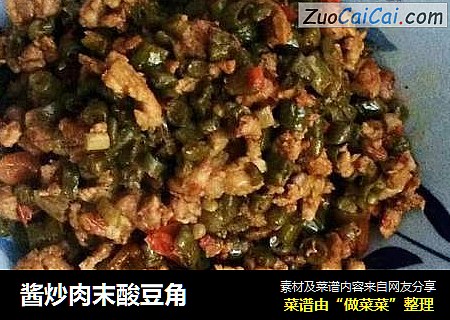酱炒肉末酸豆角