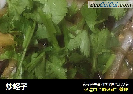 炒蛏子