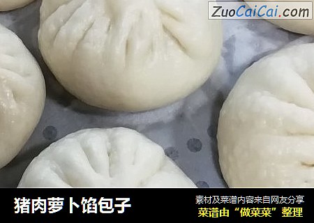 猪肉萝卜馅包子