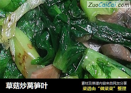 草菇炒莴笋叶