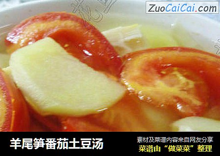 羊尾笋番茄土豆汤
