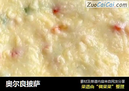 奥尔良披萨