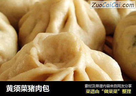 黄须菜猪肉包
