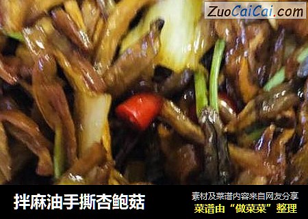 拌麻油手撕杏鲍菇
