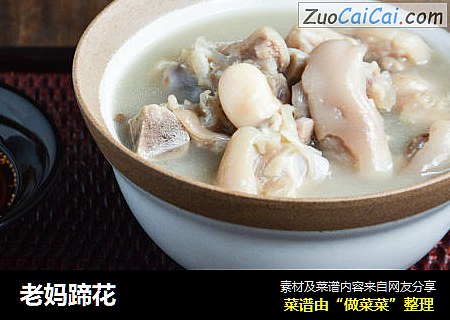 老妈蹄花