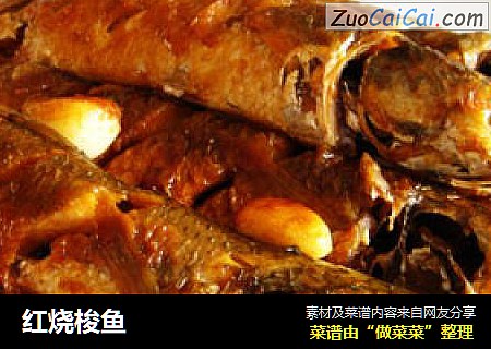红烧梭鱼