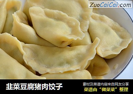 韭菜豆腐猪肉饺子