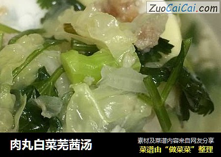肉丸白菜芜茜汤