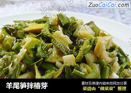 羊尾笋拌椿芽