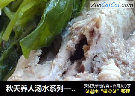 秋天养人汤水系列——西洋菜蜜枣鸡汤