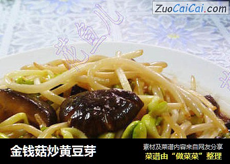 金钱菇炒黄豆芽