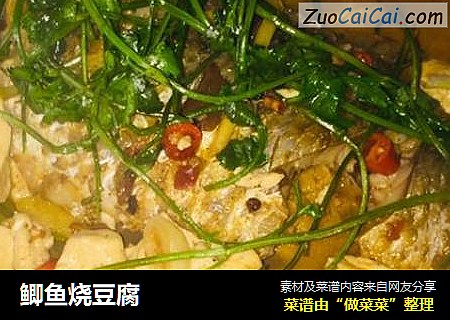 鲫鱼烧豆腐