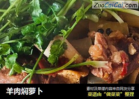 羊肉焖萝卜