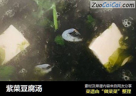 紫菜豆腐汤