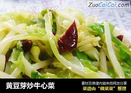 黄豆芽炒牛心菜