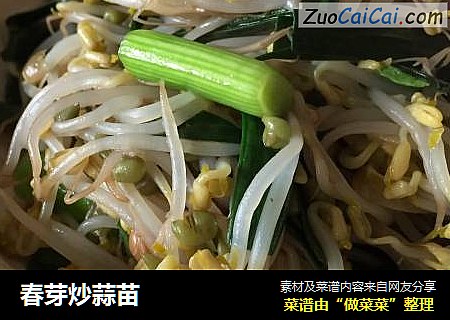 春芽炒蒜苗