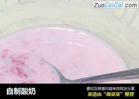 自制酸奶