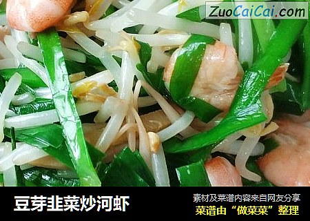 豆芽韭菜炒河虾