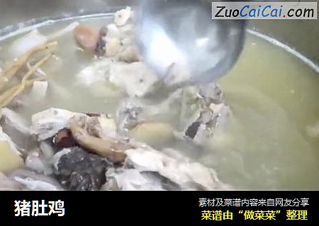 猪肚鸡