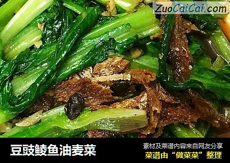 豆豉鲮鱼油麦菜