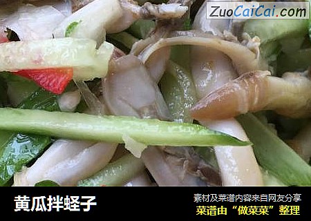 黄瓜拌蛏子