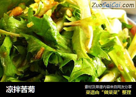 凉拌苦菊