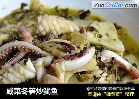 咸菜冬笋炒鱿鱼