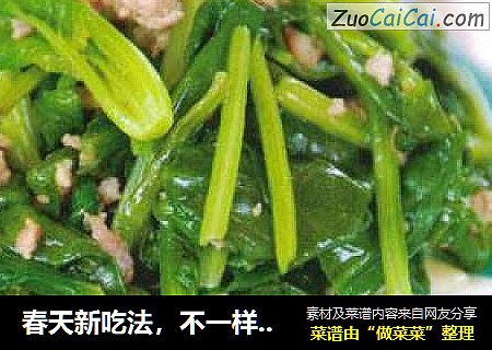春天新吃法，不一样的味道-肉末菠菜