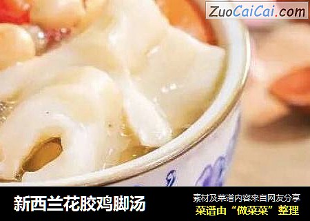 新西兰花胶鸡脚汤