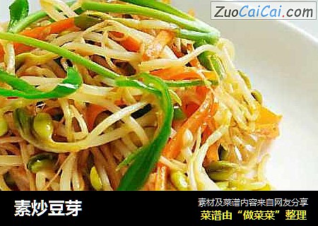 素炒豆芽