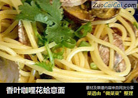 香叶咖哩花蛤意面