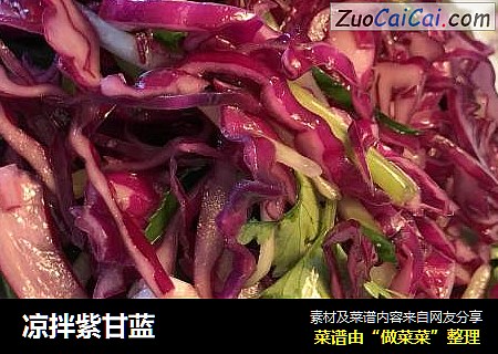 凉拌紫甘蓝