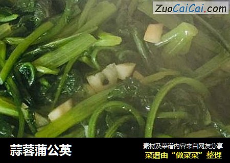 蒜蓉蒲公英