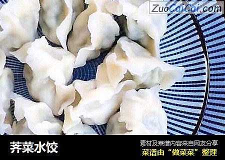 荠菜水饺