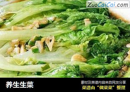 养生生菜