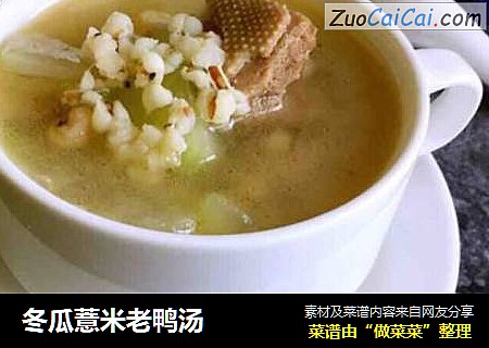 冬瓜薏米老鸭汤