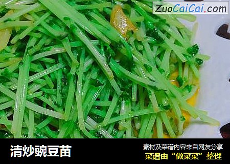 清炒豌豆苗