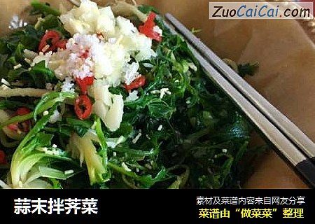 蒜末拌荠菜