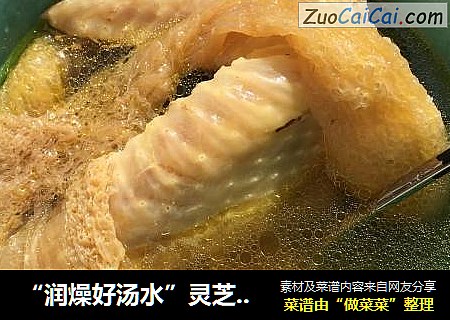 “润燥好汤水”灵芝竹荪公鸡汤