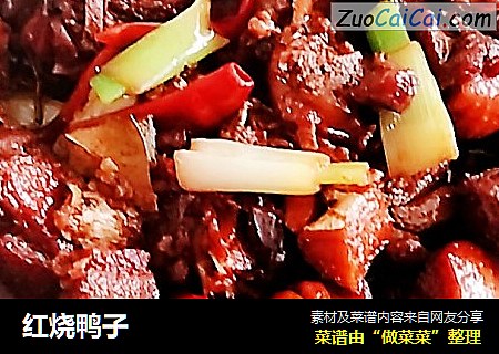 红烧鸭子
