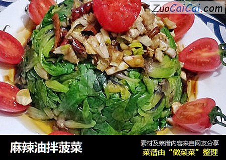 麻辣油拌菠菜
