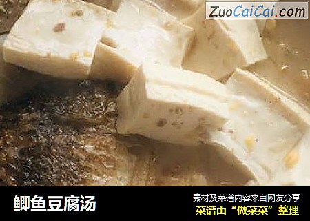鲫鱼豆腐汤