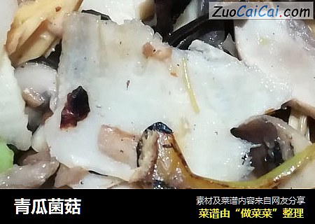 青瓜菌菇