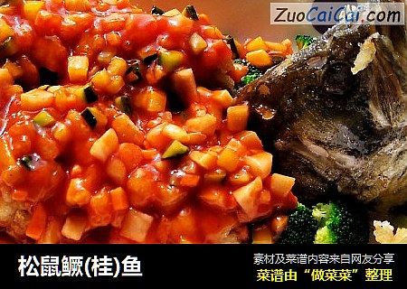 松鼠鳜(桂)鱼
